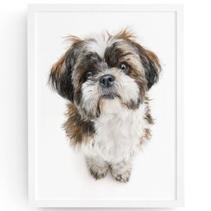 Watercolor Shih Tzu Dog Portrait Wall Art Print Poster Unframed - Pet Artwork